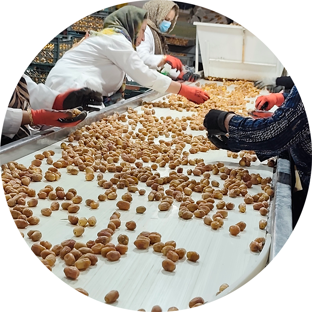 کنترل کامل کیفیت