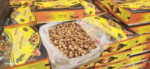 خرمای زاهدی حبیب (Habib Dates)